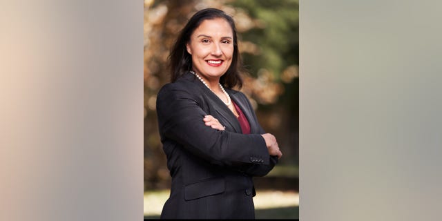 Alexis Martinez Johnson, candidate for New Mexico's 3rd Congressional District